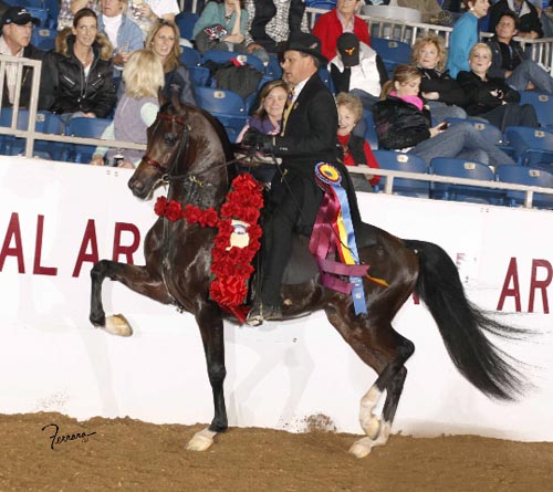The Renaissance 2009 US National Champion